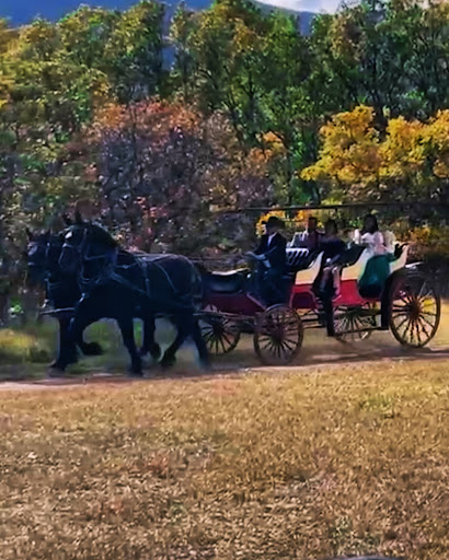 Photo from customer review