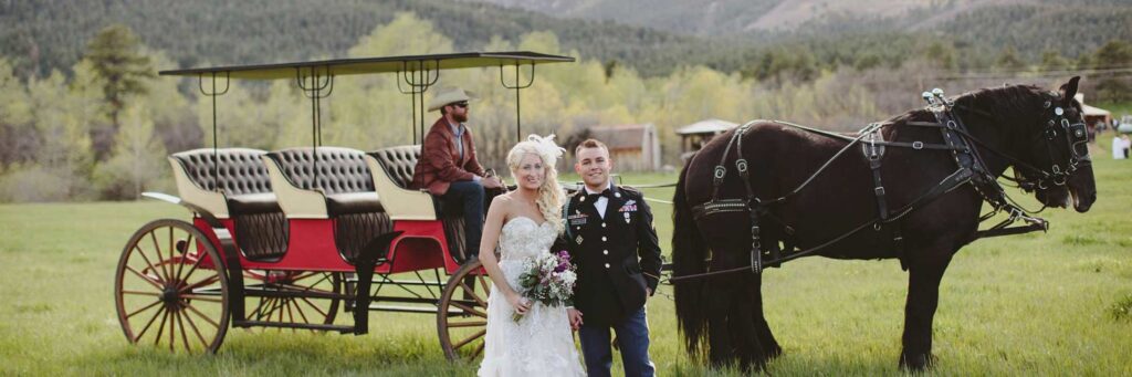 Wedding draft horse team and carriage
